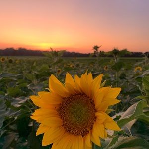 Meet your Posher, Stefanie